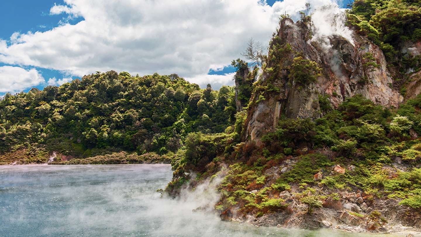 Proudly serving the Rotorua and Bay of Plenty region